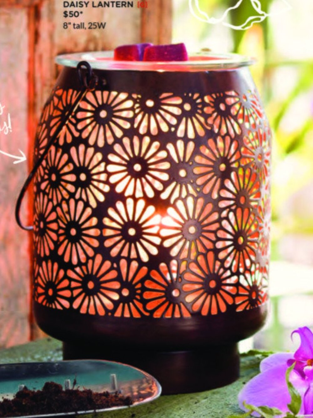 SCENTSY "Daisy Lantern" Warmer
